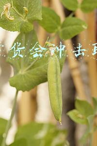 淘宝卖货开店流程(怎么开淘宝店)