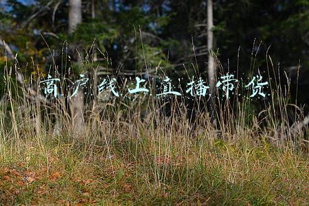 线上线下直播带货(线下商场也来直播带货)