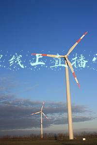 线上直播带货方案(吐血整理！直播电商带货全攻略，0基础小白也能学会（建议收藏）)