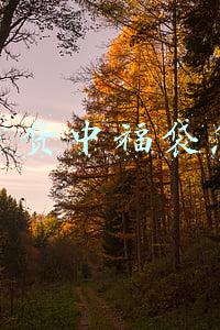 直播福袋在哪里发(今天又在抖音直播间中福袋了)