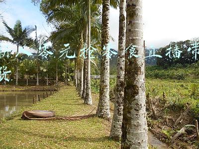 直播带货零食哪里找货源(2021全网首个零食饮料直播带货销售榜单，新鲜出炉！（建议收藏）)