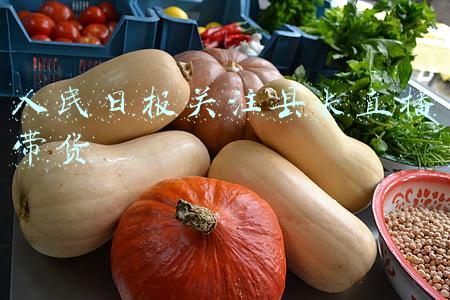 县长直播带货 人民网(“县长”红还是“苹果”红？领导干部直播带货热潮之后)