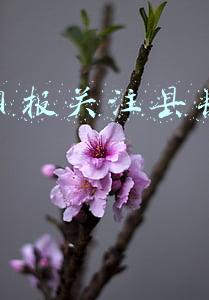 市长县长直播带货你怎么看(“带货”是一场戏，全凭演技)