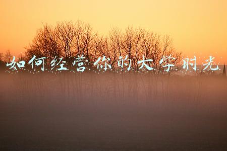 如何经营你的朋友圈 如何经营你的朋友圈让它真正为你成长助益