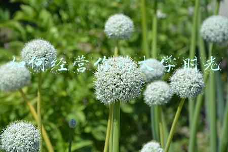 如何经营建筑涂料店，涂料店怎么经营