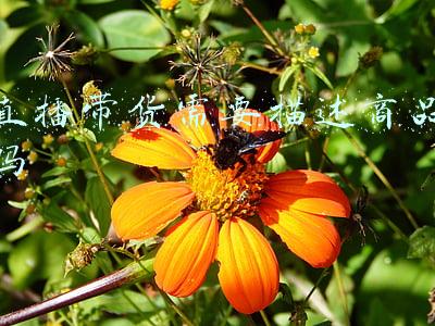 直播带货的定义(什么是带货主播？)