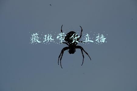 杭州薇琳招聘(上海整形医生奇遇记：有人反复整眼睛，有人连打半年玻尿酸)