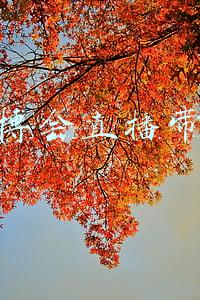 建博会(促行业实现双循环、构建行业新发展格局 中国建博会（广州）即将开幕)