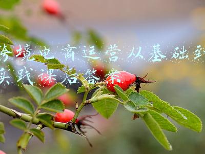 跨境电商运营从基础到实践课后答案