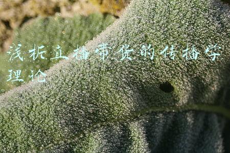 西方传播学理论评析(策划人必备的20个传播学理论)