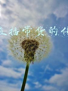 传播学中的受众理论(新闻审美消费对审美主体的重塑)