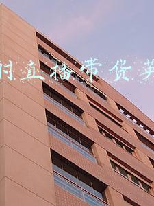 开会时疫情防控要求(疫情防控新闻发布会丨春节将至，除了“三件套、五还要”，防疫四部曲要牢记)