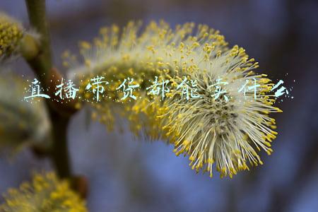直播带货卖假货(直播间花三千多元买到84件金首饰？鉴定之后店家“甩锅”：都是主播的错)