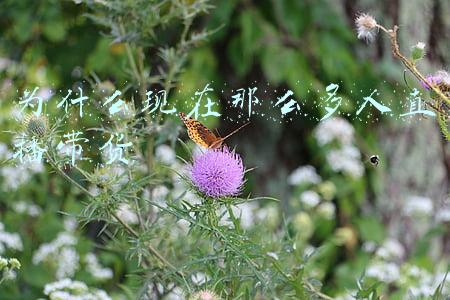 为什么现在那么多人直播带货