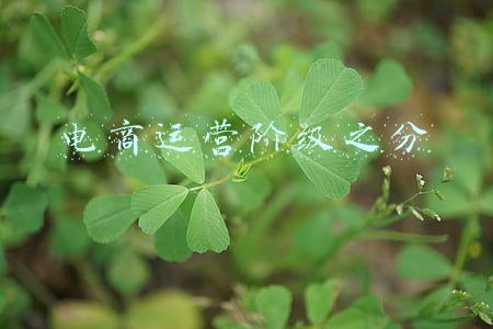 电商运营不足之处(农户网络自营产品反而掉价？广东省人大代表吴秀兰点出原因)