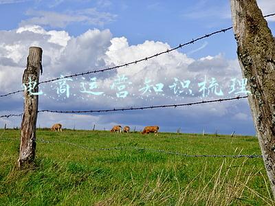 电商运营知识梳理