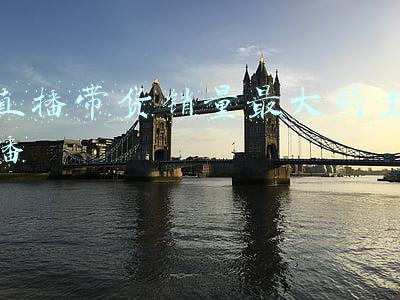 直播带货销售额排行(2020年直播带货总榜出炉 辛巴第三罗永浩排名第十二)