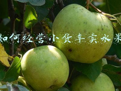 我开小货车卖水果经历微博-我开小货车卖水果经历