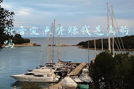 玩抖音点赞挣钱是真的吗(点赞就能赚钱？ 南昌一女子玩抖音被骗20万元)