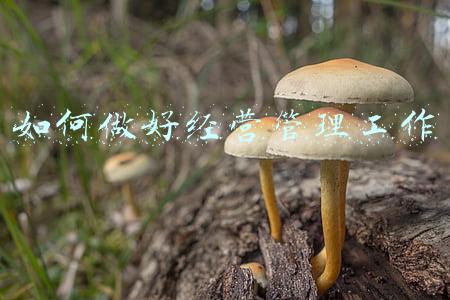如何做好经营管理《如何做好经营管理工作》