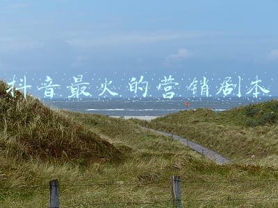 抖音文案剧本(校园教育类阿金短视频剧本抖音快手搞笑段子脚本创作台词文案理想)