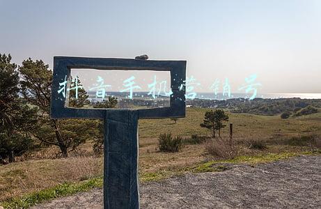 抖音手机版(抖音手机媒体直播功能上线公告)
