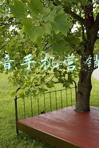 抖音手机靓号销售揭秘(抖音靓号竟能“私人订制”？“88888888”需要1.5万元)