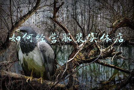 实体服装店引流方法，服装实体店用什么方法可以引流