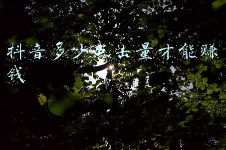 抖音多少点击量才能赚钱