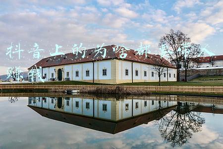 抖音上的为啥都要带人赚钱