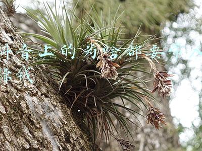 世界上赚钱最快的人(15岁赚得30,000美金，他被喻为“华尔街巨熊”的股票大作手)