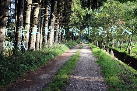 抖音上的为啥都要带人赚钱