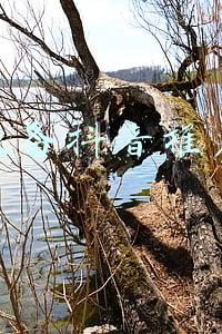 机械设备抖音推广营销