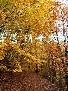 营销动作有哪些(坚持做这6个营销动作，社交平台的客户和人脉都是你的！)