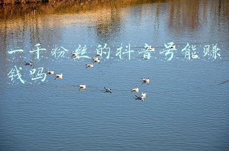 百家号怎么加粉丝(百家号赚钱攻略：新手怎么注册运营来获取收益？)