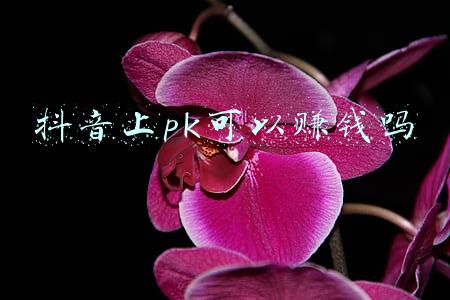 抖音pk怎么赚钱(九宫格视频连麦，“引流+相亲+卖货”新思路)