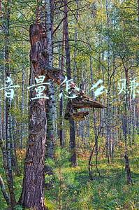 抖音音量大小怎么调(抖音上线外放音量过高提醒功能)