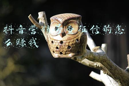 微博营销号怎么赚钱(5万就能霸榜！微博热搜的隐秘生意)