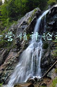 抖音评论推广(抖音如何提高评论量？)