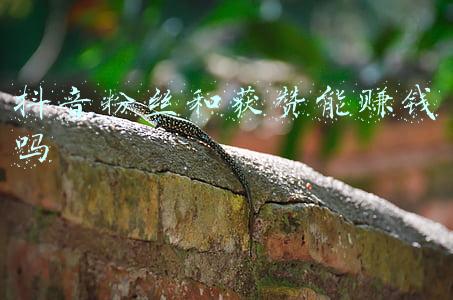 抖音粉丝和获赞能赚钱吗