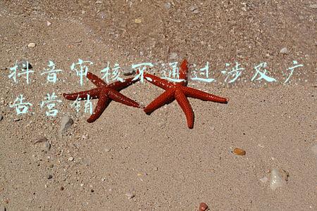 抖音视频推广审核不通过(“中视频伙伴计划”审核不通过，有几点必须要知道)