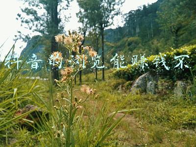 抖音浏览量能赚多少钱(简单聊聊做自媒体公众号的收入)