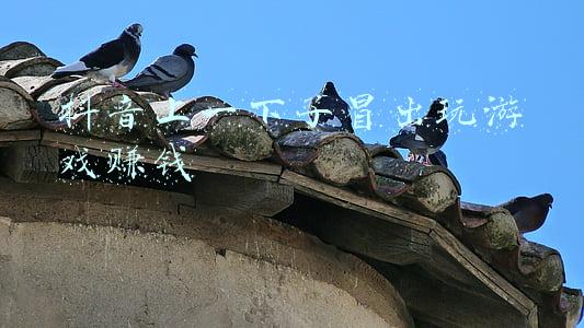 抖音上一下子冒出玩游戏赚钱