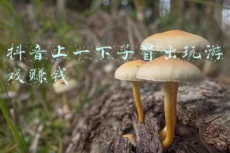 抖音上一下子冒出玩游戏赚钱
