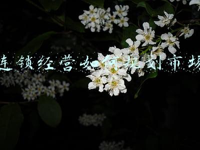连锁企业门店卖场规划的作用-连锁门店卖场布局的原则