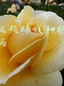西瓜视频赚钱和抖音同步发吗
