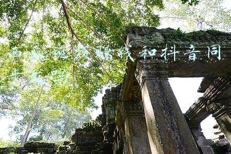 西瓜视频赚钱和抖音同步发吗