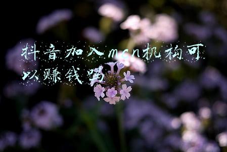 抖音mcn机构入驻要费用么(抖音mcn申请流程办法)