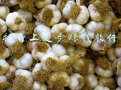 抖音上走步赚钱软件