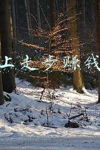 走步赚钱软件(“走路赚钱”的趣步APP被查：别被躺赚噱头迷了眼)